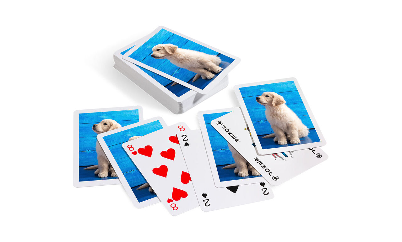 Cartes avec des images d'un chien heureux sur un fond bleu