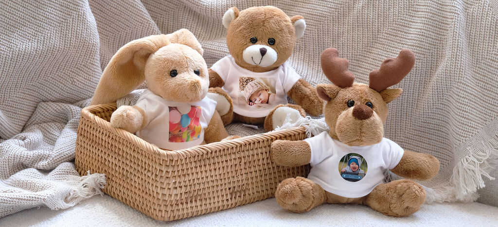 Doudous mignons dans un panier, l'un portant un t-shirt avec photo.